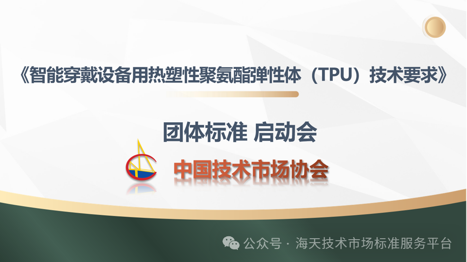 03d585a3f40ee52584002d4cde405942.png